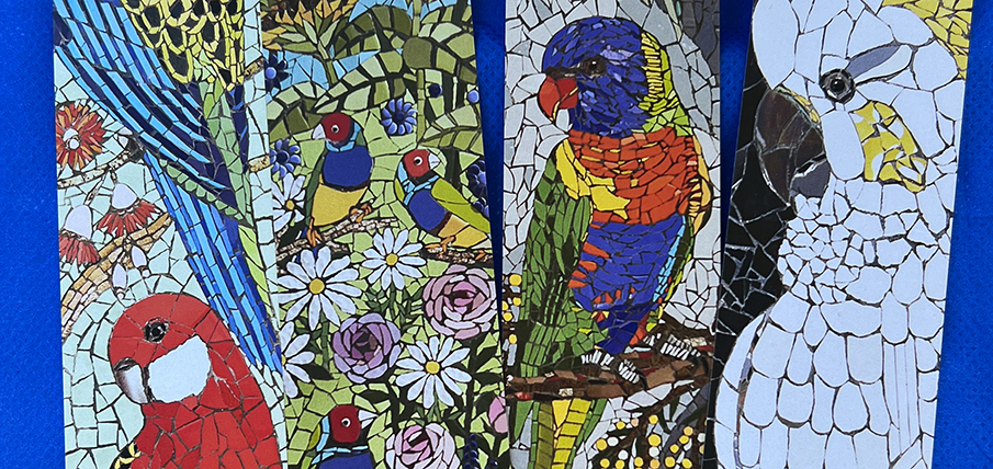 Bowden Bird Walk news hero